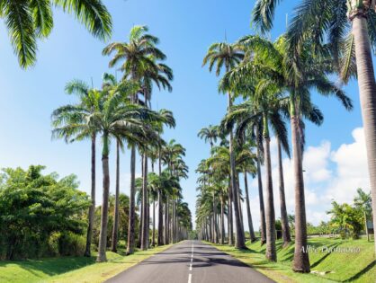 Avis à la population